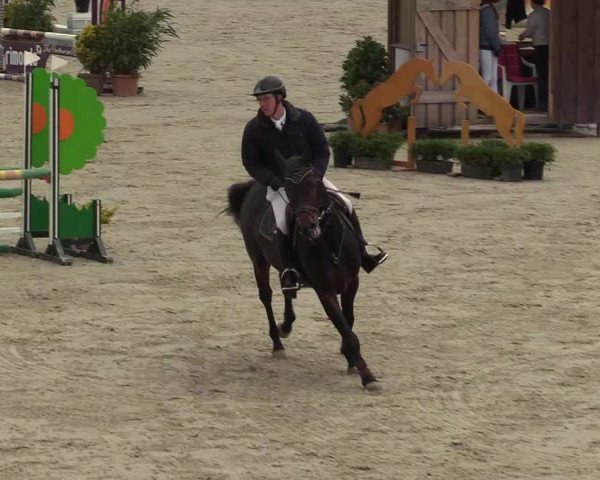 Reitturnier Westergellersen 2022