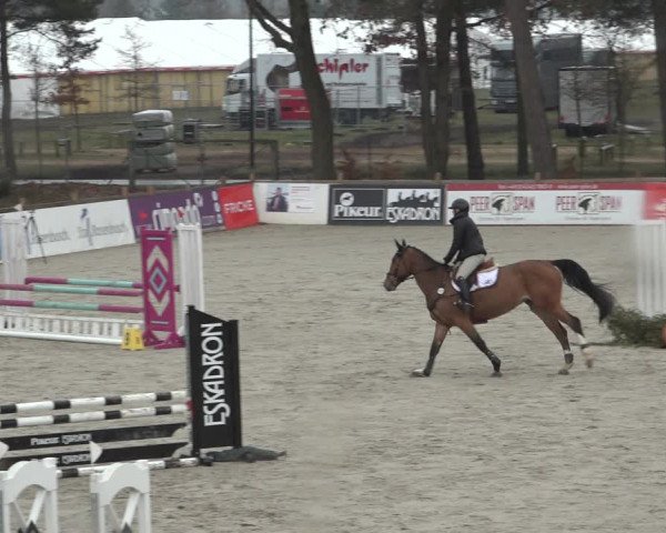 Reitturnier Westergellersen 2022