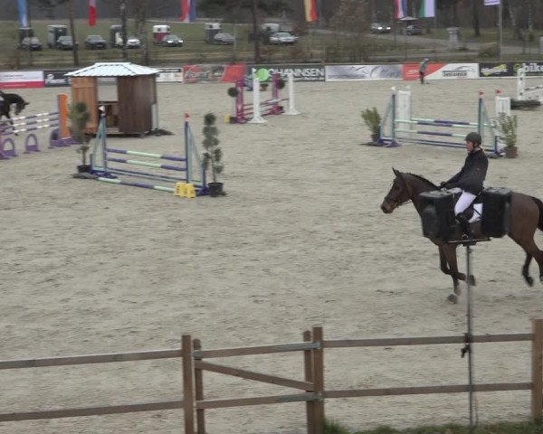 Reitturnier Westergellersen 2022