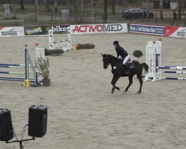 Reitturnier Westergellersen 2022