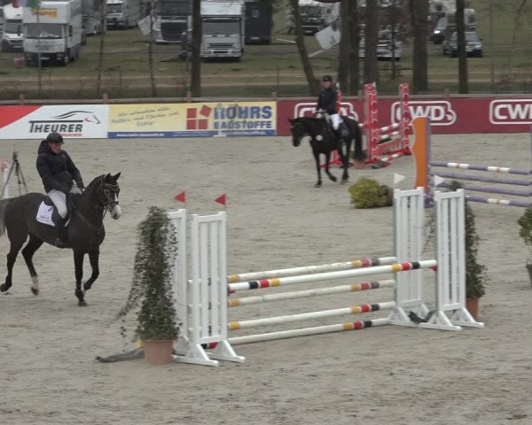 Reitturnier Westergellersen 2022