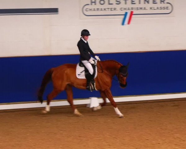 Reitturnier Elmshorn 2022
