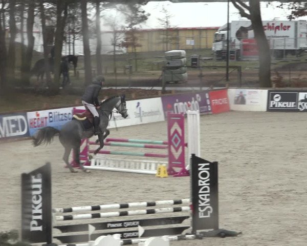 Reitturnier Westergellersen 2022