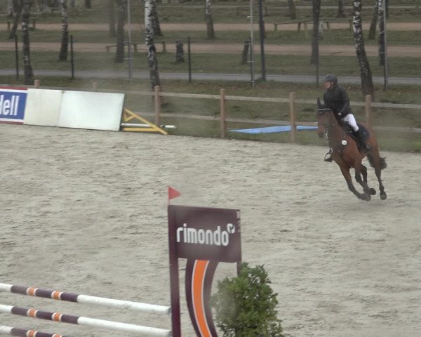 Reitturnier Westergellersen 2022