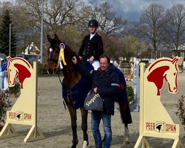 jumper Chambertin's Charlie (Holsteiner, 2007, from Chambertin)