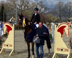 jumper Chambertin's Charlie (Holsteiner, 2007, from Chambertin)