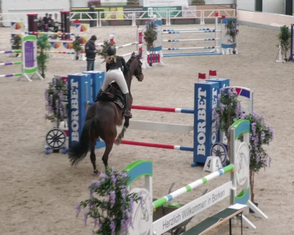Reitturnier Borken 2022