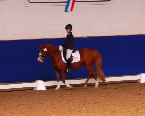Reitturnier Elmshorn 2022