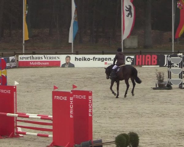 Reitturnier Westergellersen 2022