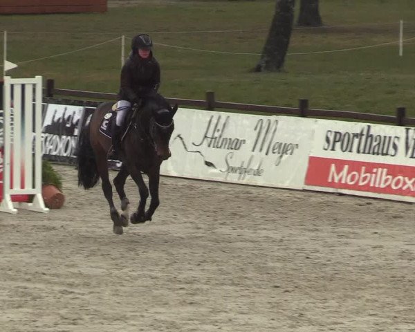 Reitturnier Westergellersen 2022
