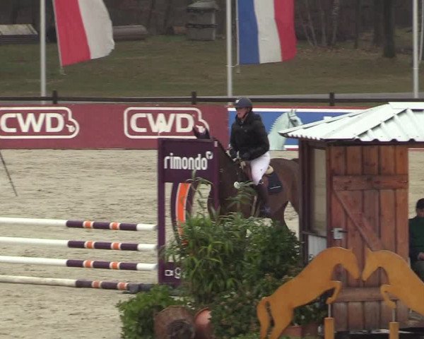 Reitturnier Westergellersen 2022