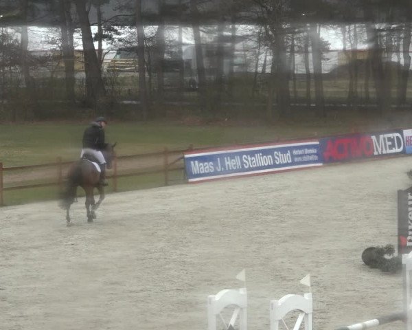 Reitturnier Westergellersen 2022