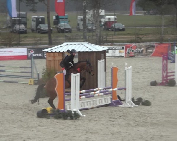 Reitturnier Westergellersen 2022