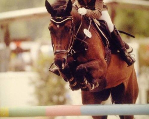 jumper Furious (Oldenburg, 2006, from Farewell III)