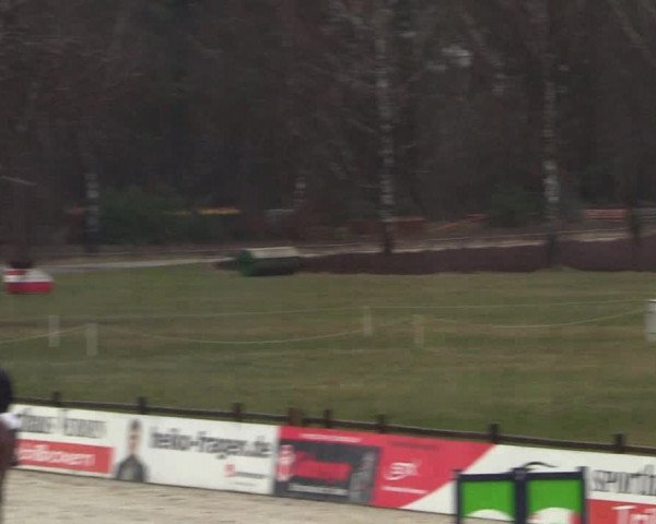 Reitturnier Westergellersen 2022