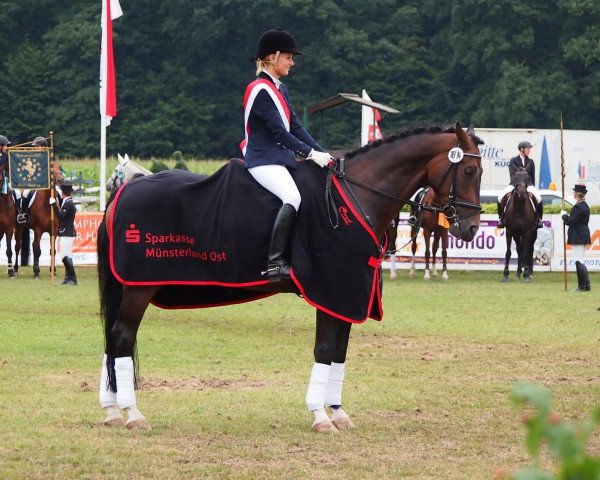 dressage horse Raskadero (Westphalian, 2006, from Rascalino)