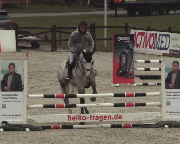 Reitturnier Westergellersen 2022