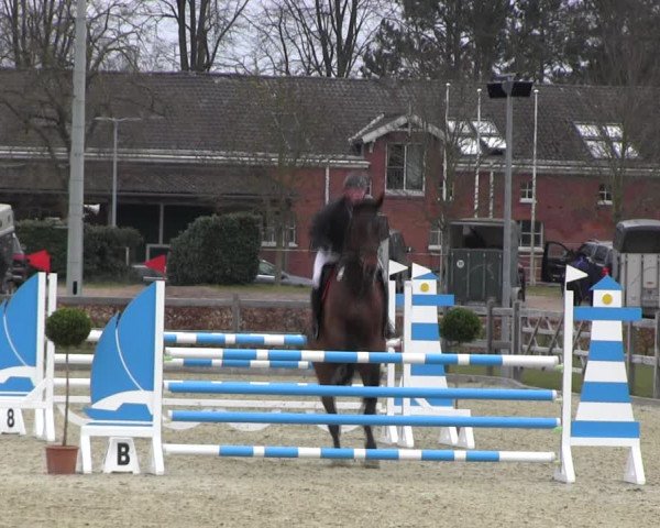 Reitturnier Elmshorn 2022