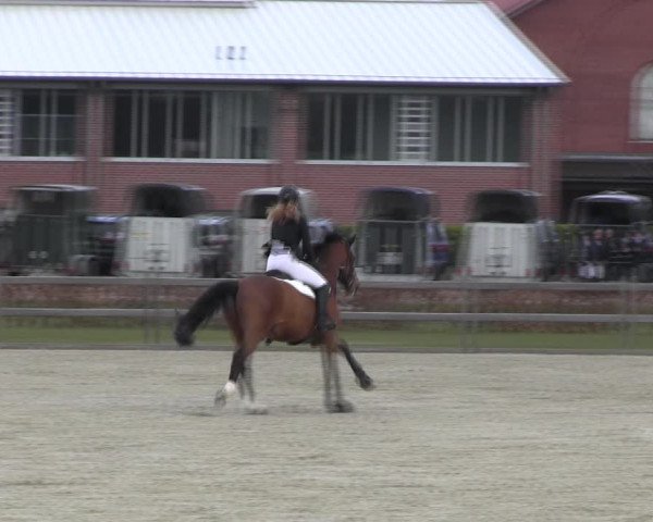 Reitturnier Elmshorn 2022