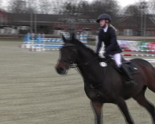 Reitturnier Elmshorn 2022