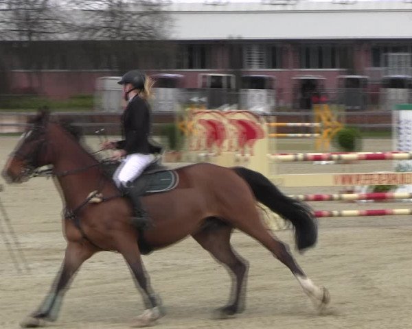 Reitturnier Elmshorn 2022