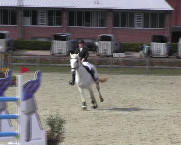 Reitturnier Elmshorn 2022