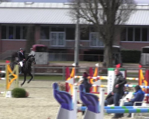 Reitturnier Elmshorn 2022