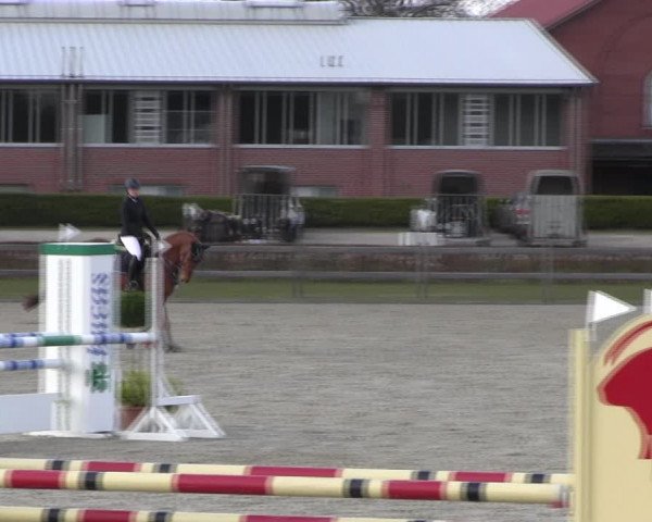 Reitturnier Elmshorn 2022
