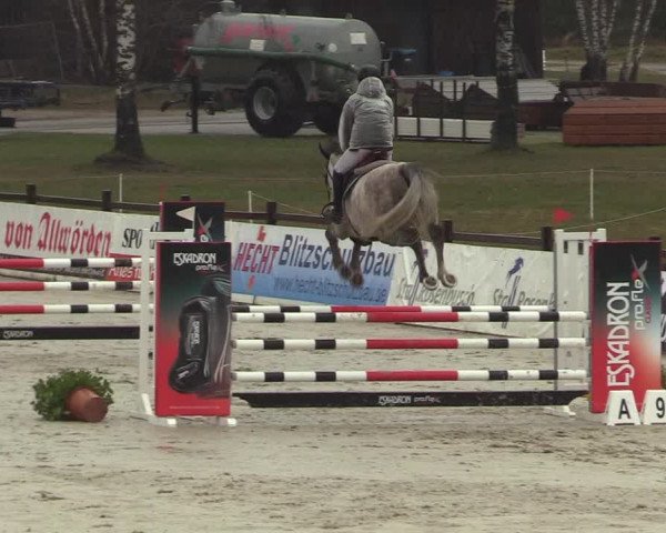 Reitturnier Westergellersen 2022