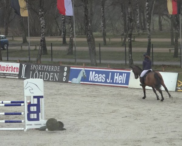 Reitturnier Westergellersen 2022