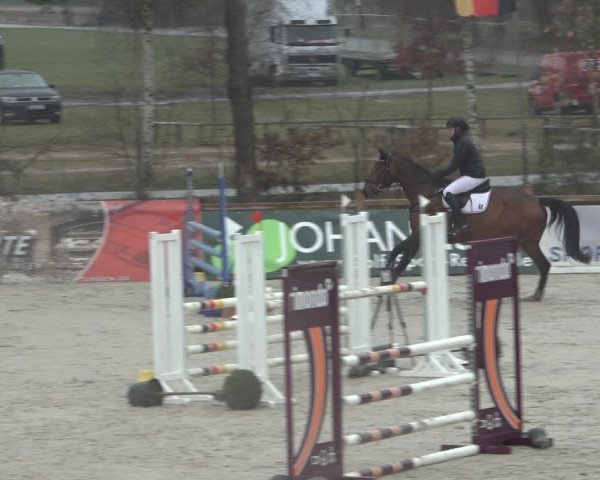 Reitturnier Westergellersen 2022