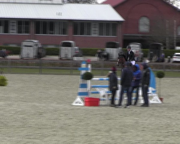 Reitturnier Elmshorn 2022