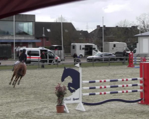 Reitturnier Elmshorn 2022