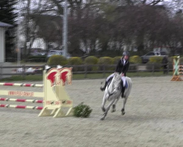 Reitturnier Elmshorn 2022
