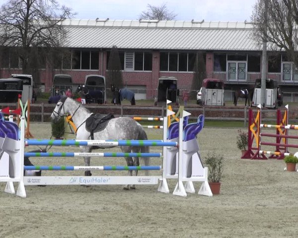 Reitturnier Elmshorn 2022