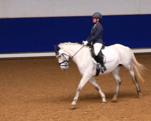 Reitturnier Elmshorn 2022