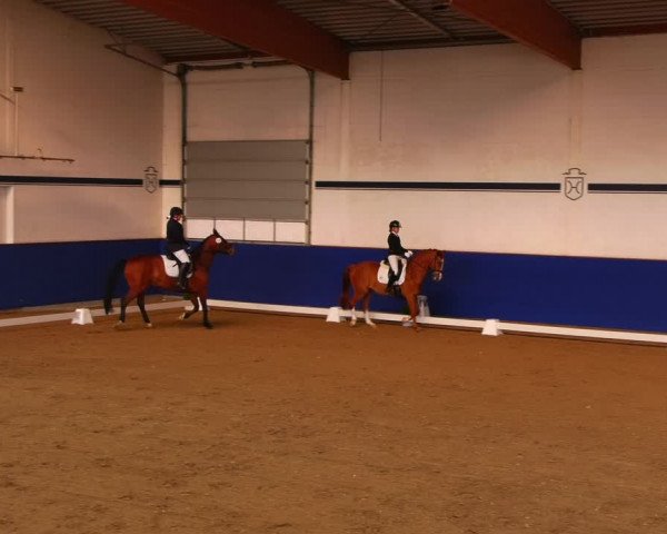 Reitturnier Elmshorn 2022