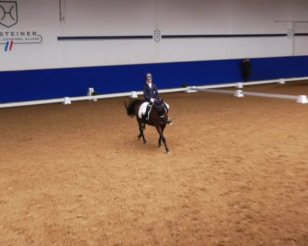 Reitturnier Elmshorn 2022