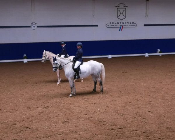 Reitturnier Elmshorn 2022