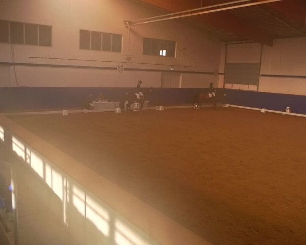 Reitturnier Elmshorn 2022
