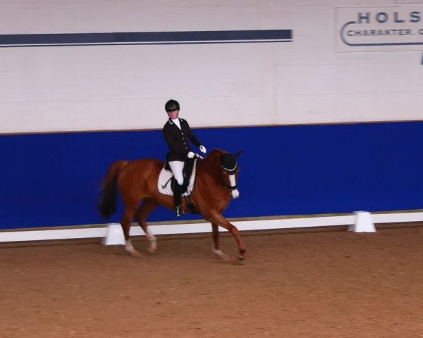 Reitturnier Elmshorn 2022