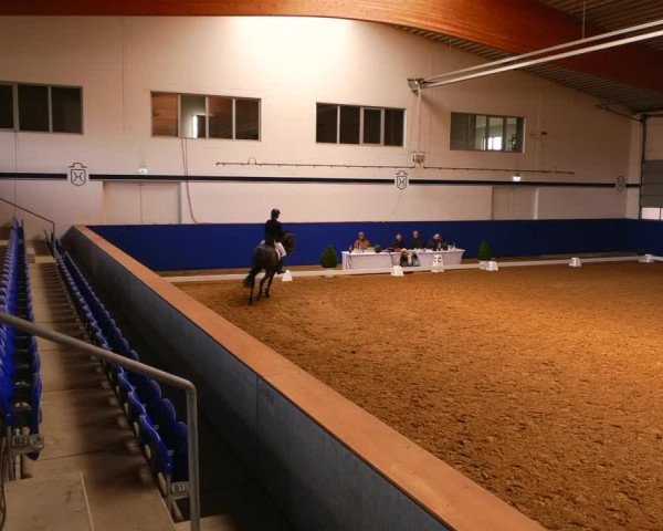 Reitturnier Elmshorn 2022