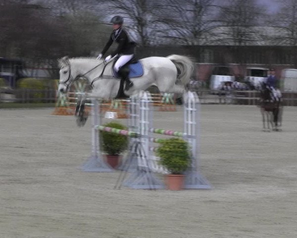 Reitturnier Elmshorn 2022