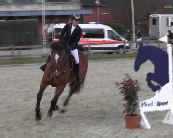 Reitturnier Elmshorn 2022
