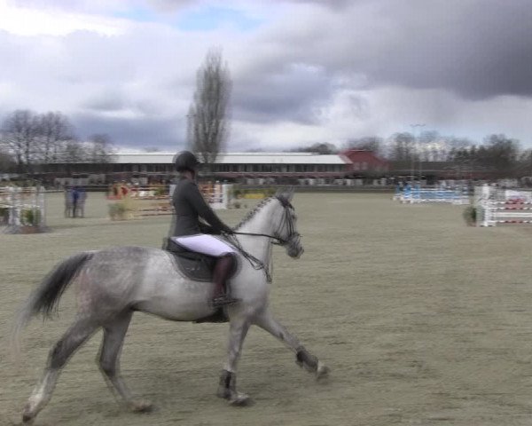 Reitturnier Elmshorn 2022