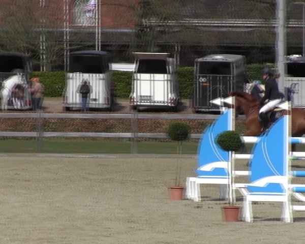 Reitturnier Elmshorn 2022