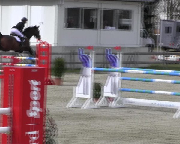 Reitturnier Elmshorn 2022