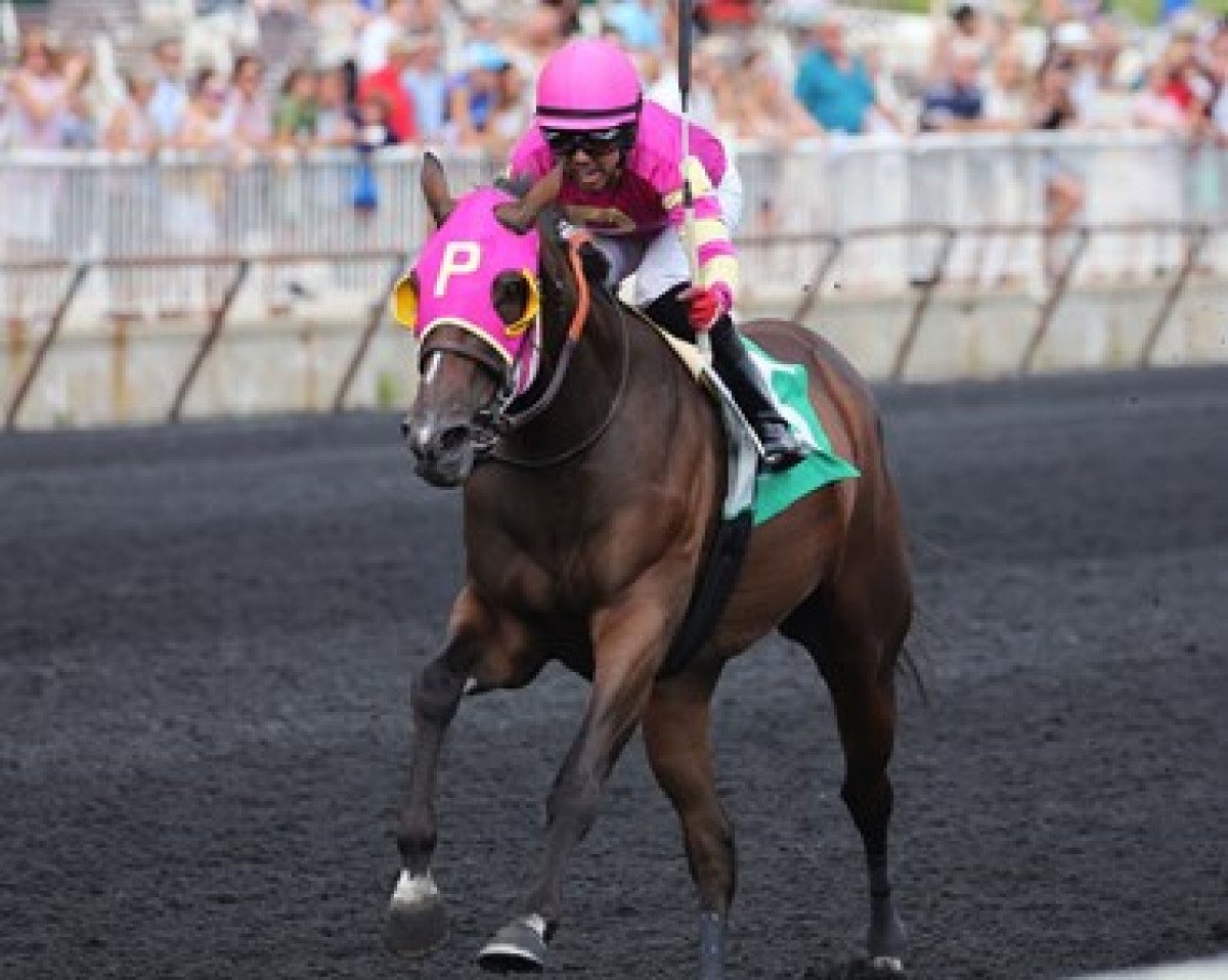 broodmare Pretty At War xx (Thoroughbred, 2015, from War Front xx)