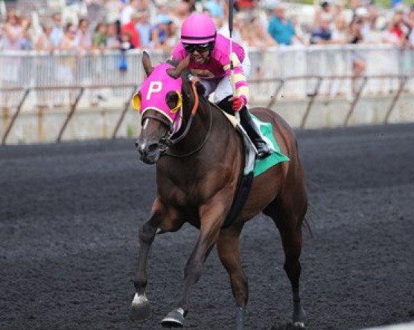 broodmare Pretty At War xx (Thoroughbred, 2015, from War Front xx)