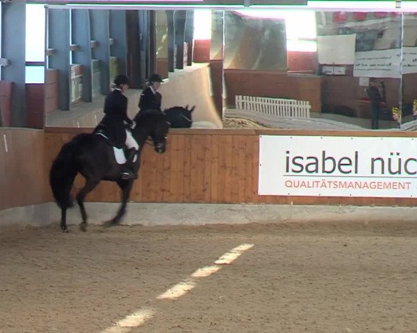 Reitturnier Hof Bettenrode 2022
